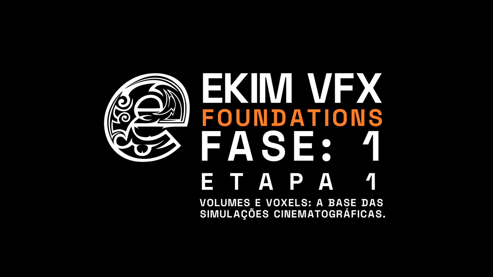 Fase 1 Etapa 1, Volumes e Voxels