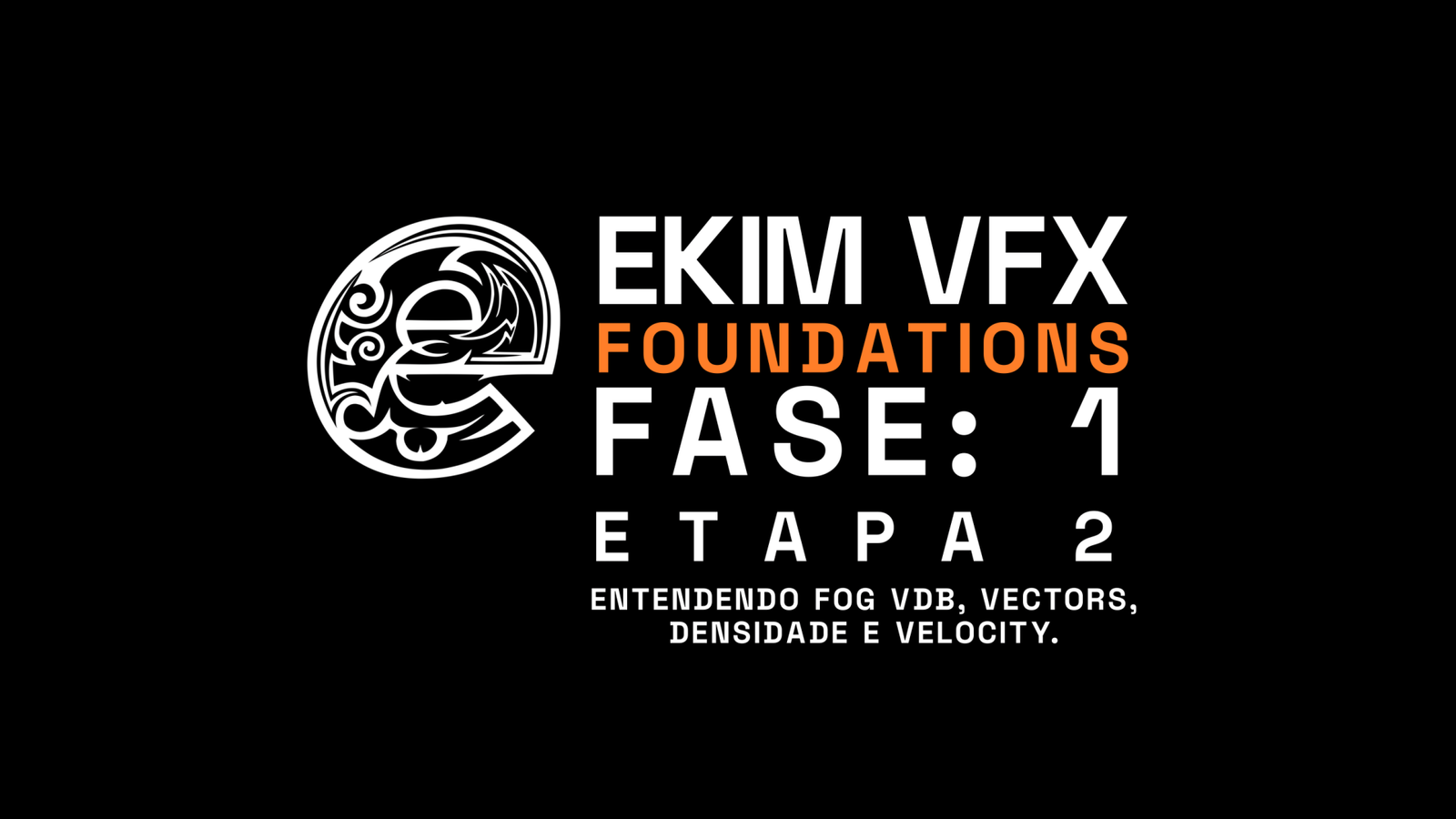 Fase 1 Etapa 2, Fog VDB, vectors, densidade e velocity